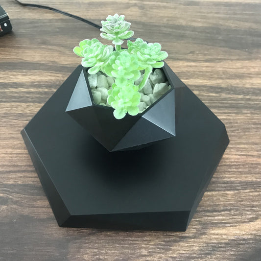 Magnetic Floating Bonsai – Schwebender Blumentopf mit 360° Rotation