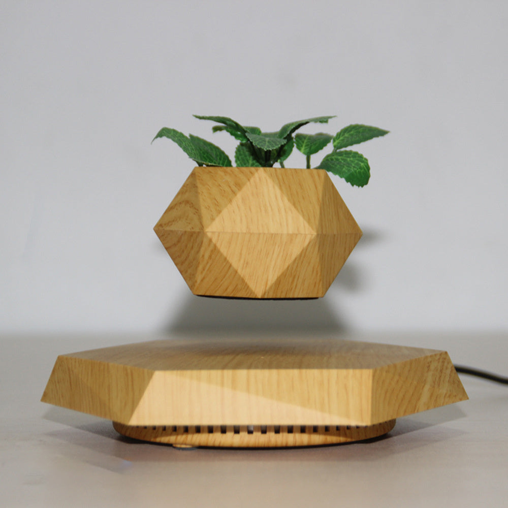 Magnetic Floating Bonsai – Schwebender Blumentopf mit 360° Rotation