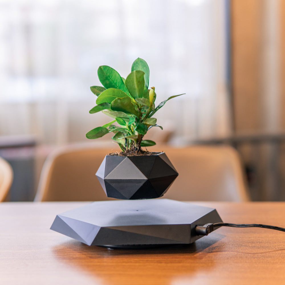 Magnetic Floating Bonsai – Schwebender Blumentopf mit 360° Rotation