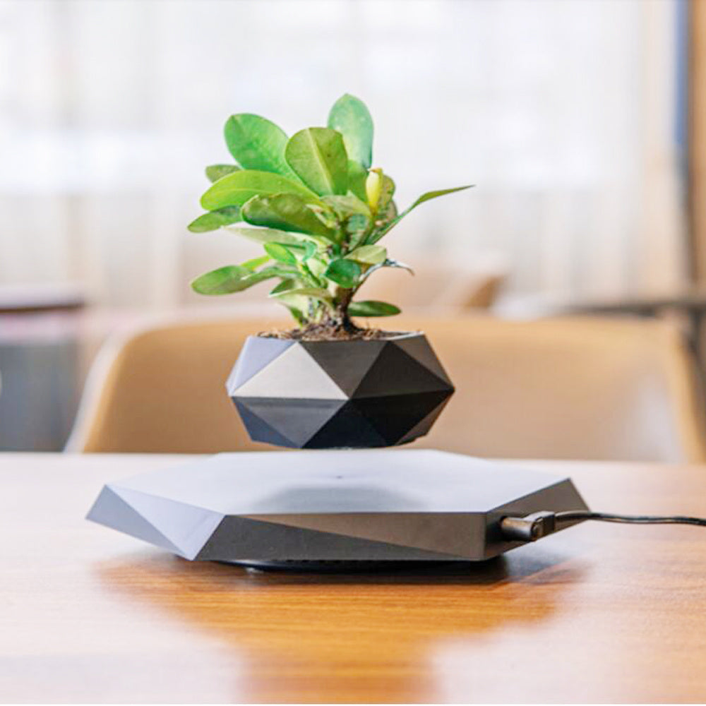 Magnetic Floating Bonsai – Schwebender Blumentopf mit 360° Rotation