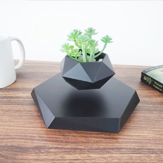 Magnetic Floating Bonsai – Schwebender Blumentopf mit 360° Rotation