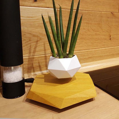 Magnetic Floating Bonsai – Schwebender Blumentopf mit 360° Rotation