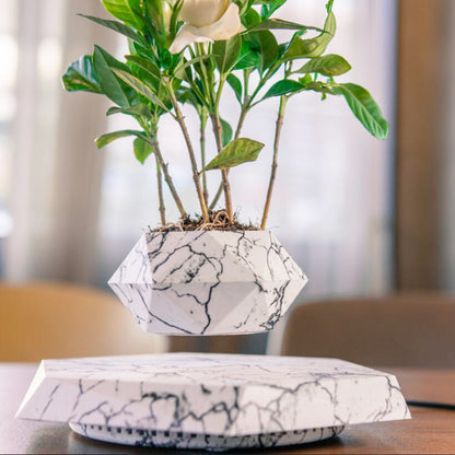 Magnetic Floating Bonsai – Schwebender Blumentopf mit 360° Rotation